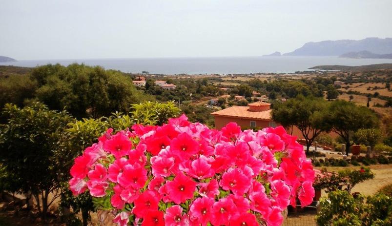 Su paradisu Apartamento Olbia Exterior foto